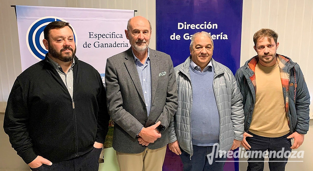 MDN